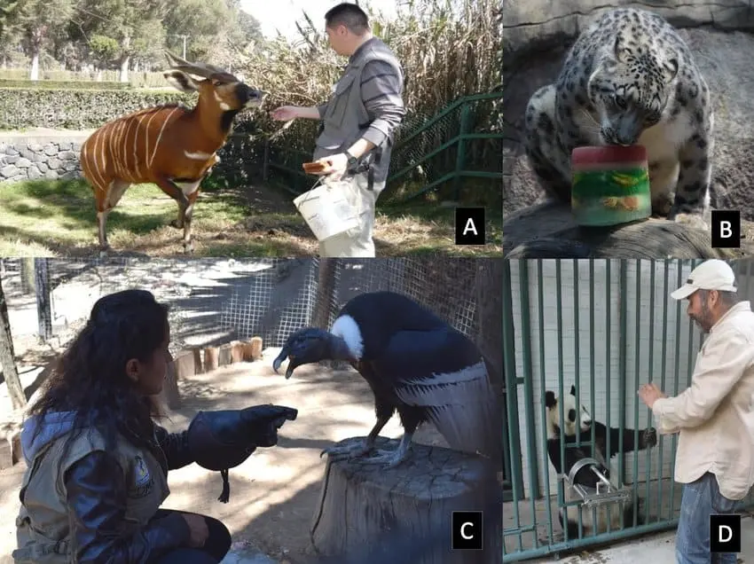 Animal Behavior and Care