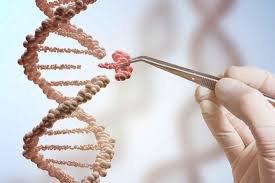 genetic engineering